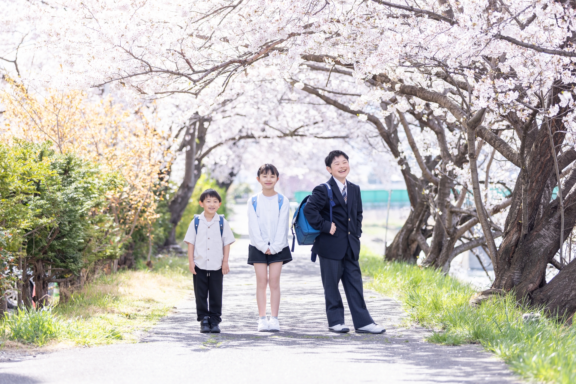 みやこ町 地域の課題一覧 | まちだん